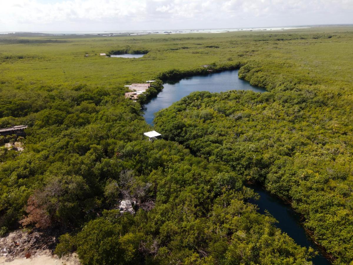 Manglex Eco Hotel Tulum Exteriér fotografie