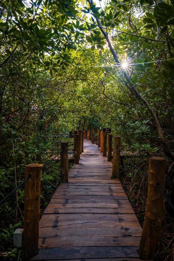 Manglex Eco Hotel Tulum Exteriér fotografie