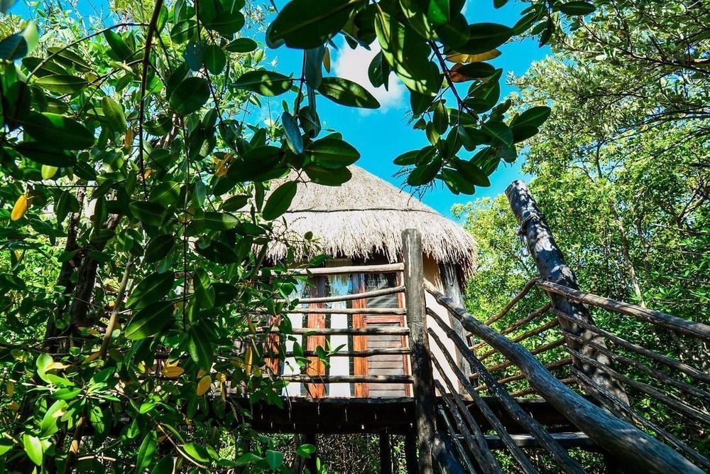 Manglex Eco Hotel Tulum Exteriér fotografie