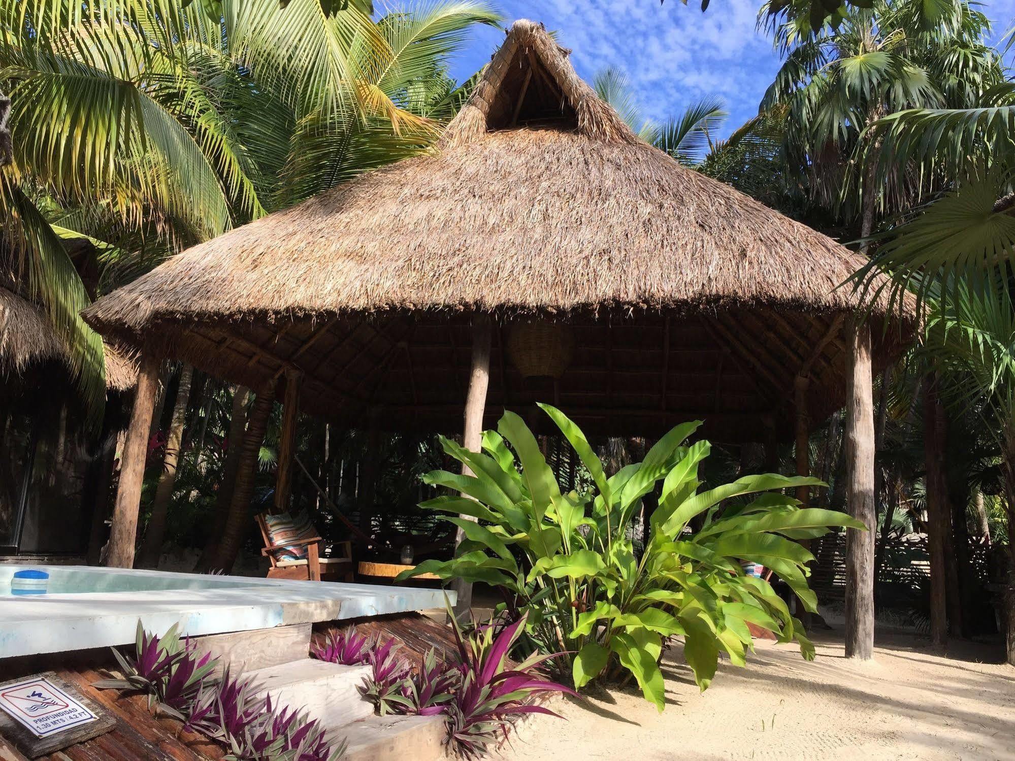 Manglex Eco Hotel Tulum Exteriér fotografie