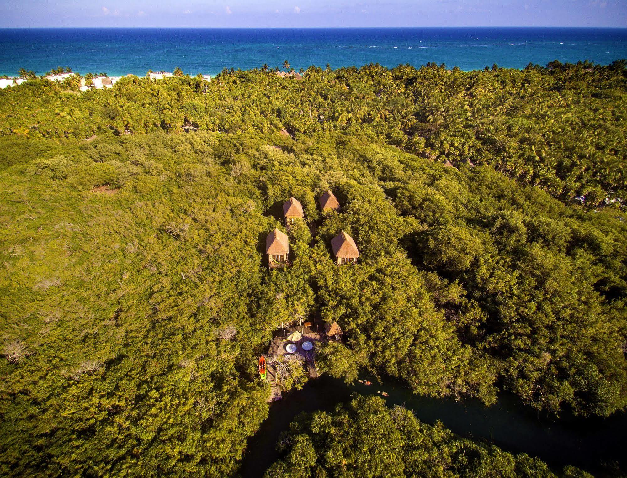 Manglex Eco Hotel Tulum Exteriér fotografie