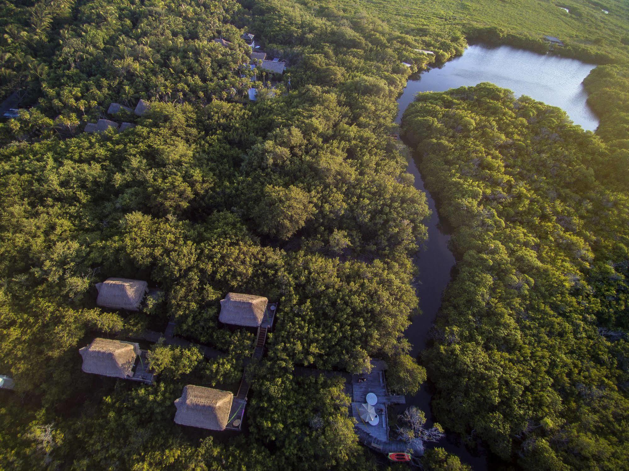 Manglex Eco Hotel Tulum Exteriér fotografie
