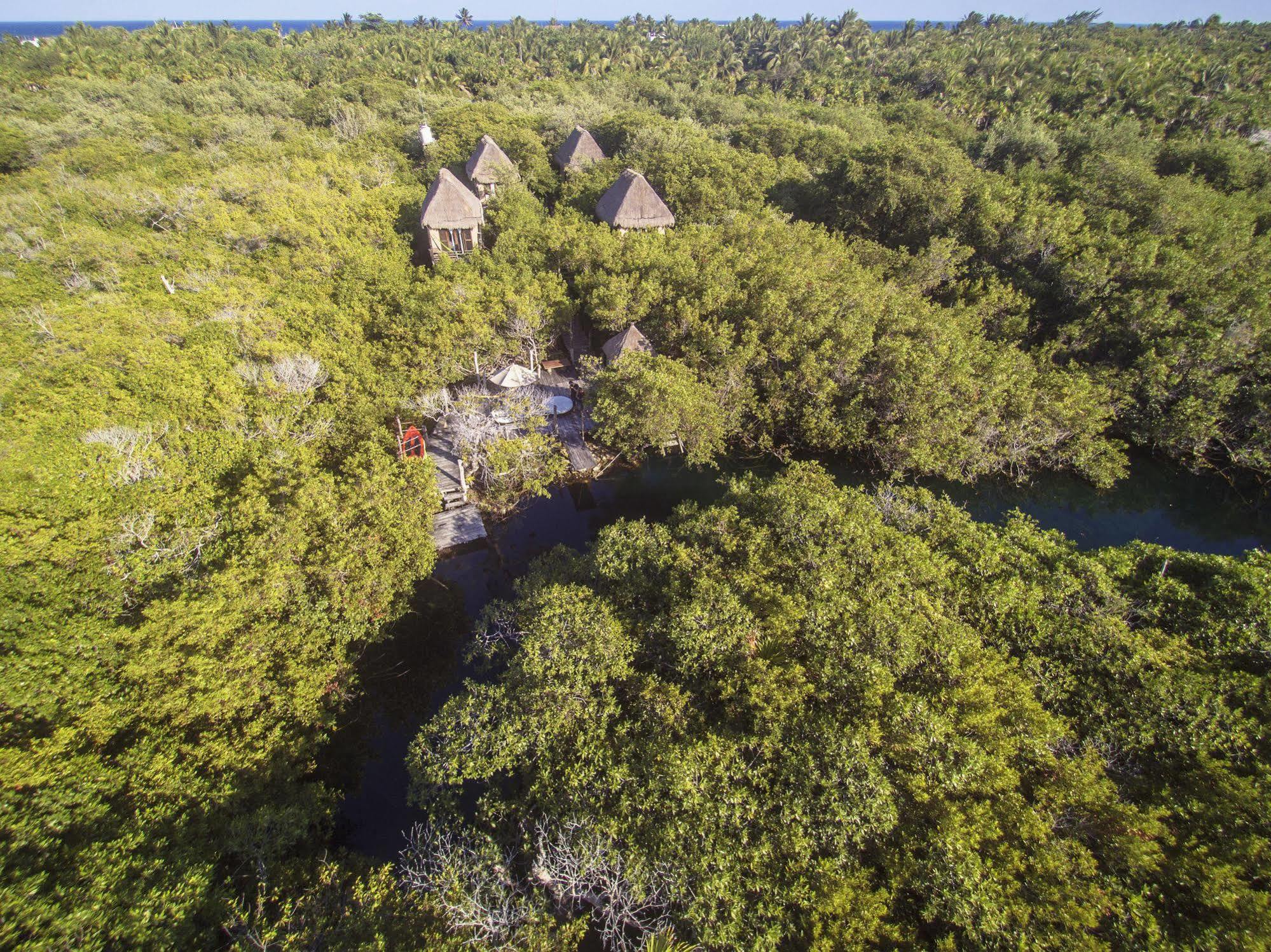 Manglex Eco Hotel Tulum Exteriér fotografie
