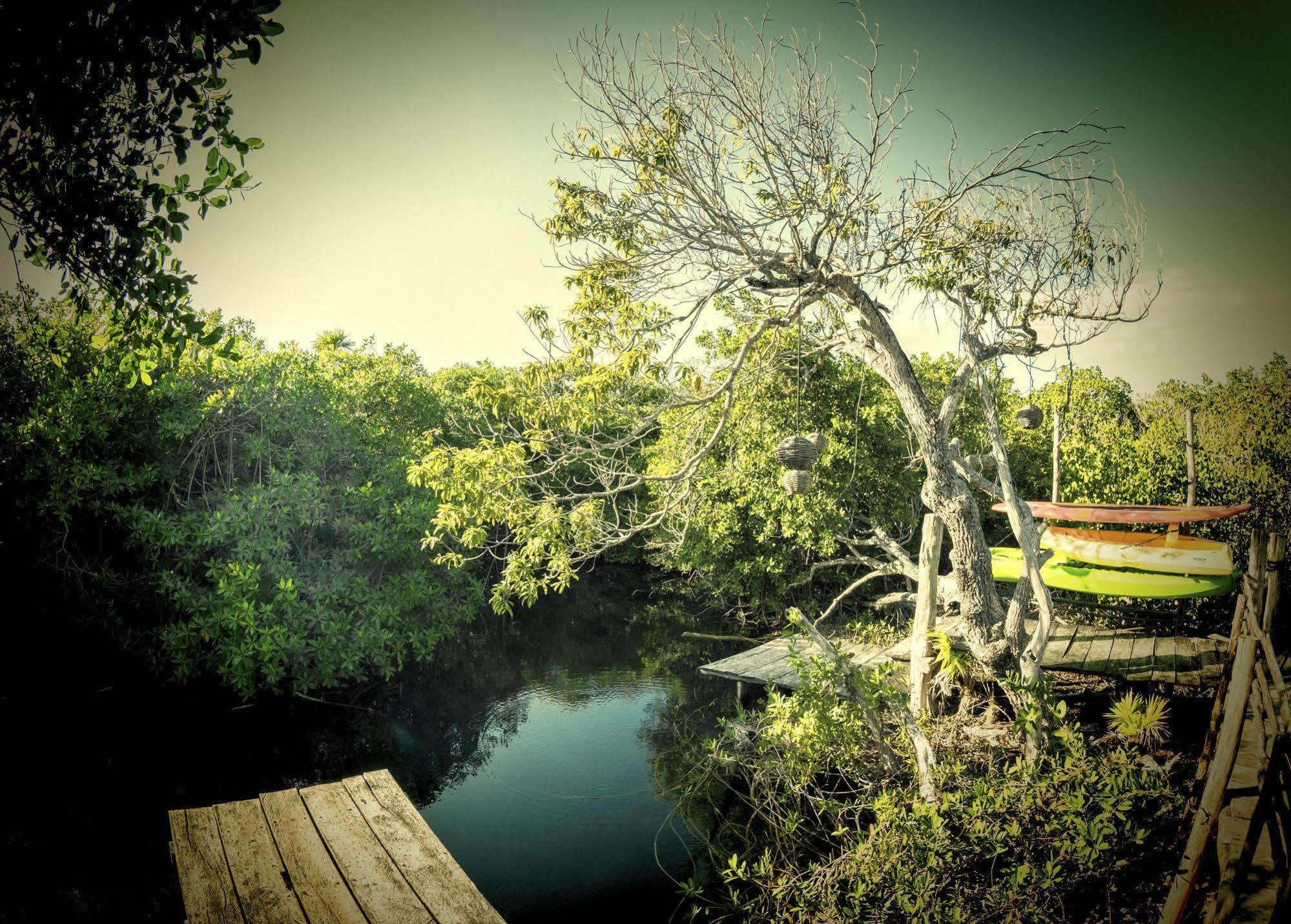 Manglex Eco Hotel Tulum Exteriér fotografie