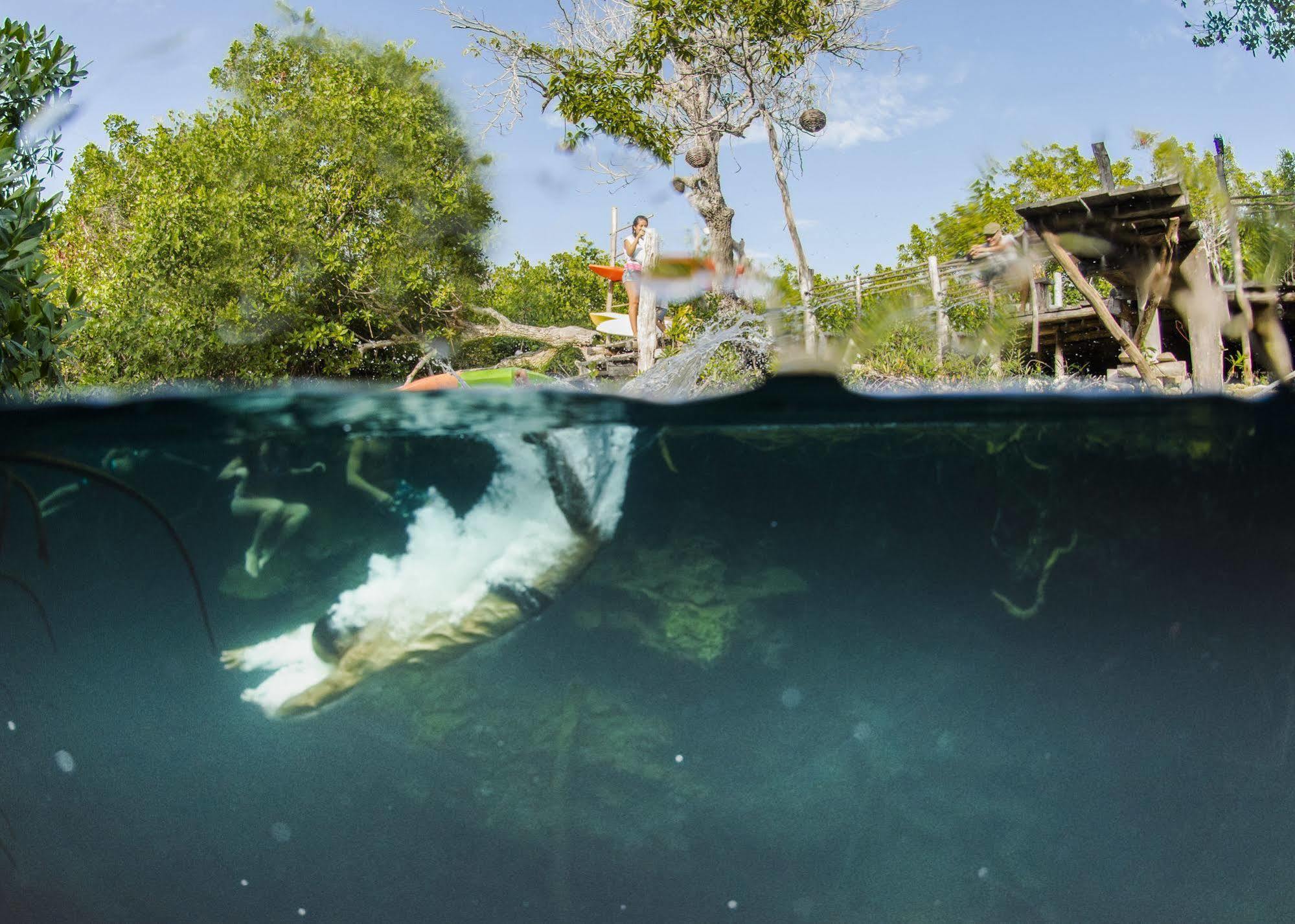 Manglex Eco Hotel Tulum Exteriér fotografie