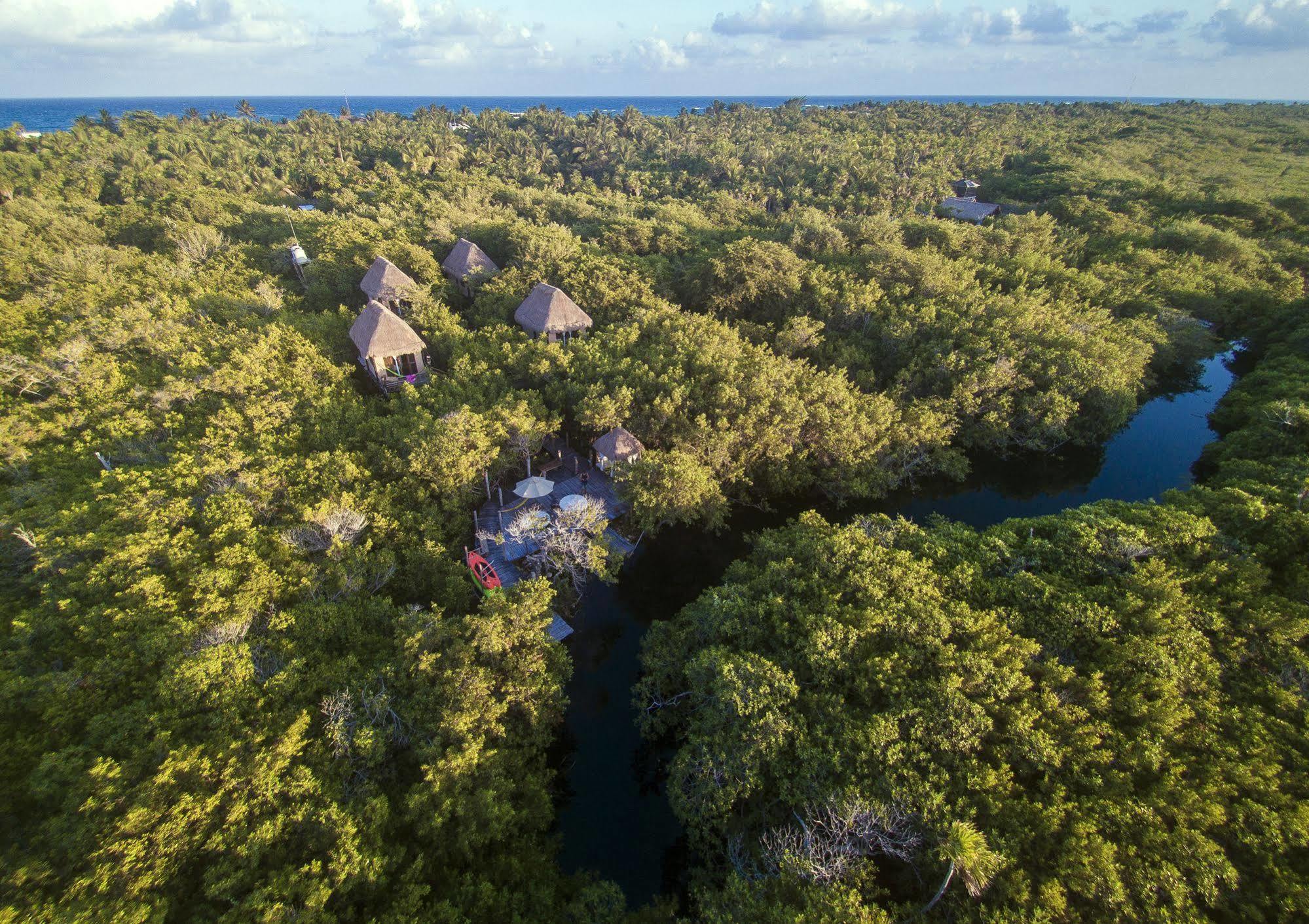 Manglex Eco Hotel Tulum Exteriér fotografie